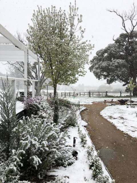 Luxury Accomodation, Farm Stay, Stunning Views Near Daylesford - Sydney Tourism 1
