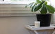 Maldon Cosy Garden Cottage - Charming One Room Studio - thumb 3