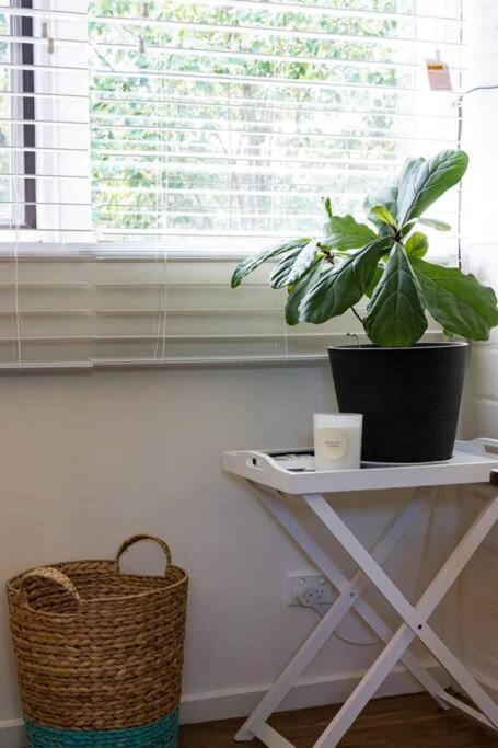 Maldon Cosy Garden Cottage - Charming One Room Studio - Sydney Tourism 3