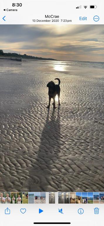 Mcrae Retro Beach House ! - Sydney Tourism 2