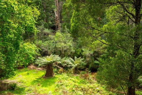 Millers Rest - Sydney Tourism 3