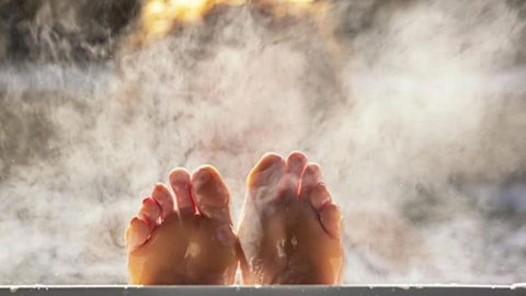 Nungaroo Cottage - Sydney Tourism 3