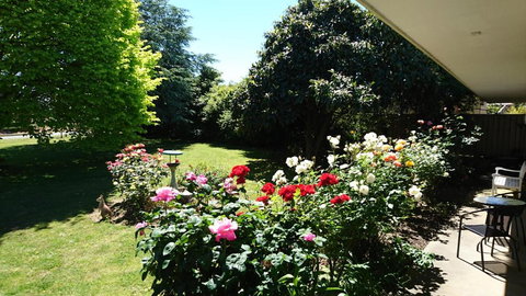 Opal Motel - Sydney Tourism 2