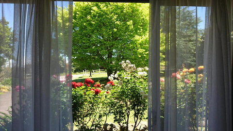 Opal Motel - Sydney Tourism 1