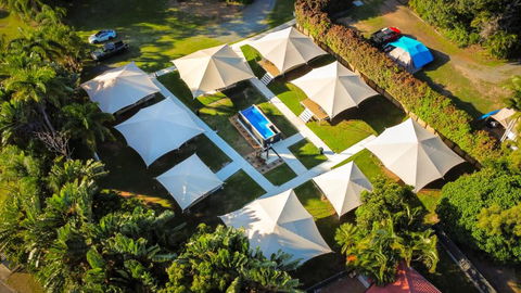 Poinciana At Cooee Bay - Sydney Tourism 2