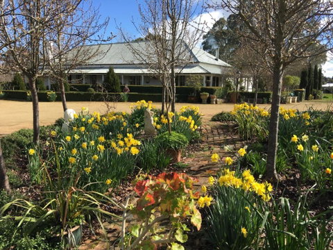 Petschel House - Sydney Tourism 1