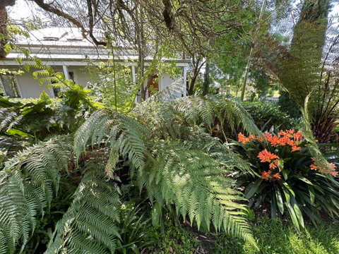 Petschel House - Sydney Tourism 3