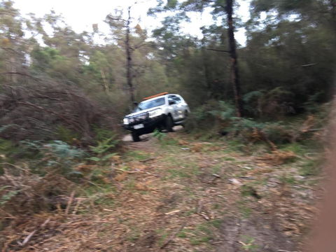 PNL4WDriving Bairnsdale Hub - Sydney Tourism 0