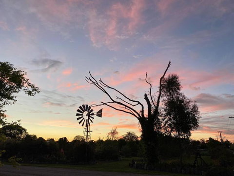 Pull Up Stumps - Sydney Tourism 1