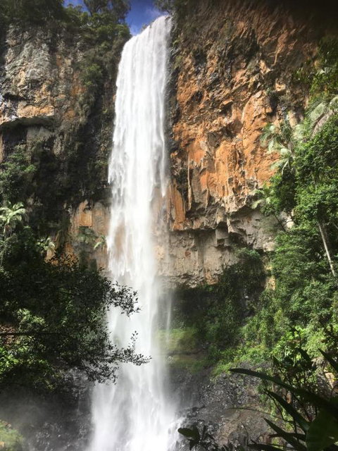 Purling Brook Falls Gwongorella - Sydney Tourism 1