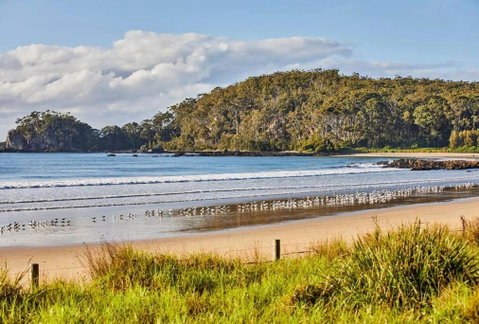 Rare Broulee Beachfront House - Sydney Tourism 3