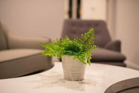 Astrina 2 Bed Value Apartment - Sydney Tourism 1