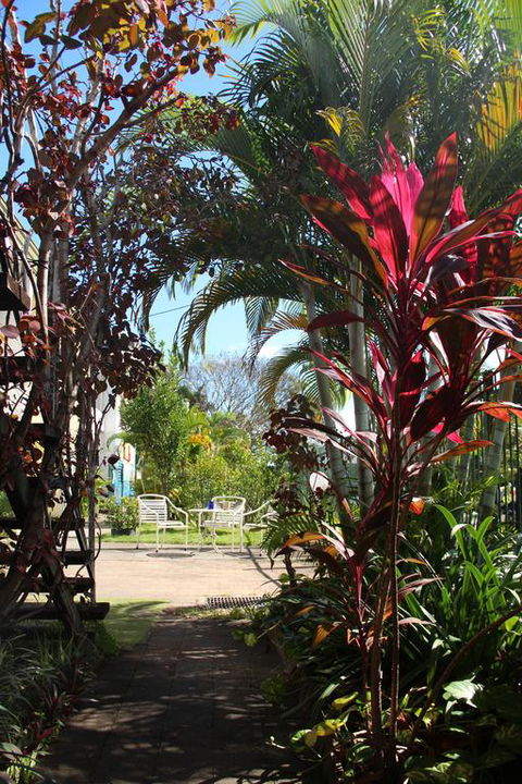 Asylum Cairns Hostel - Sydney Tourism 0