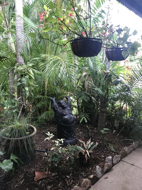 Bali Inspired Hideaway With Tropical Villa & Plunge Pool - Sydney Tourism 3