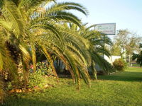 Book Winton Accommodation Vacations Sydney Tourism Sydney Tourism