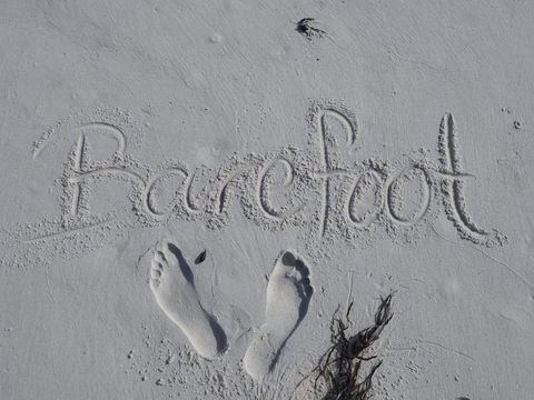 Barefoot Beach House - Sydney Tourism 0