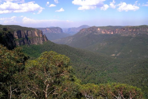 Ribbon Gum Lodge - Sydney Tourism 1