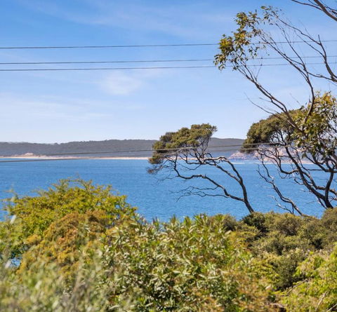 RIPVIEW In Old Lonnie - Sydney Tourism 1