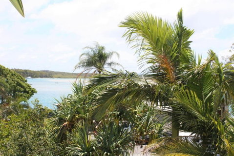 Rivershores - Sydney Tourism 0