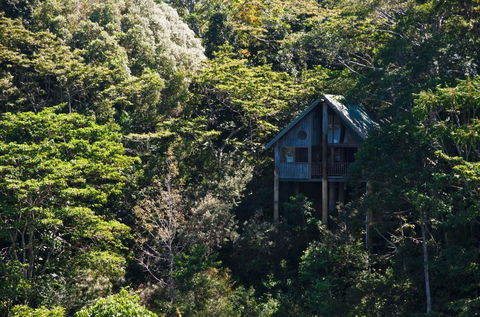 Rose Gums Wilderness Retreat - Sydney Tourism 1