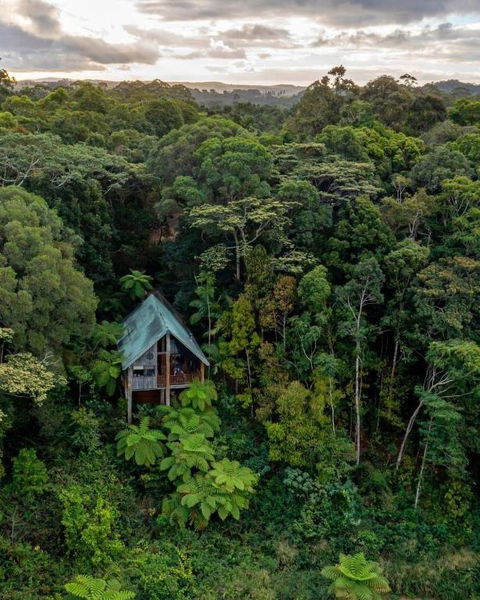 Rose Gums Wilderness Retreat - Sydney Tourism 0