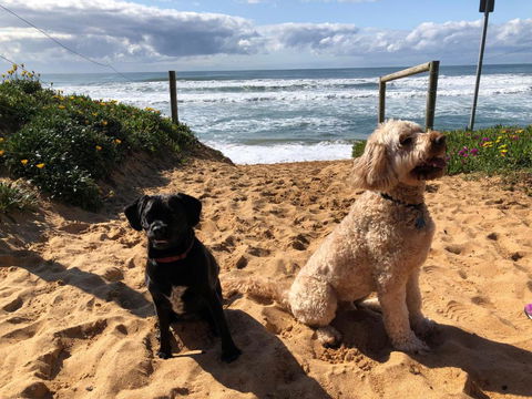 Sanctuary Retreat - Sydney Tourism 2