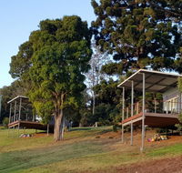 Beechmont Bean Cabins - Sydney Tourism
