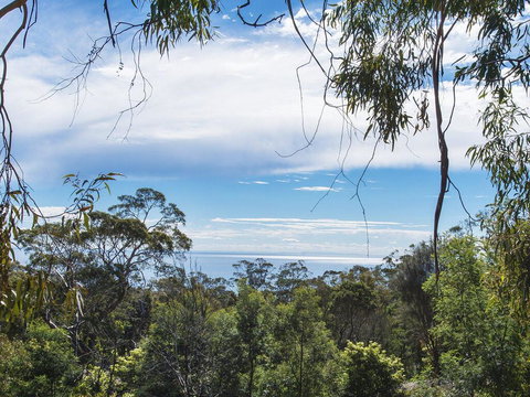 Bellevue Sur Mer - Sydney Tourism 0