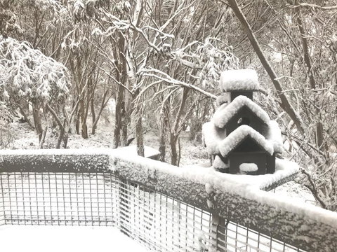 Belltrees - Sydney Tourism 1