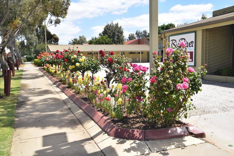 Big River Motel - Sydney Tourism 3