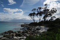 Binalong Bay Beach Shack