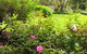 Bindley House B&B Cottage - thumb 2