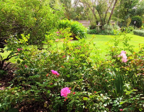 Bindley House B&B Cottage - Sydney Tourism 2