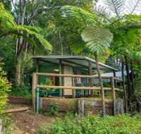 Binna Burra Rainforest Campsite - Sydney Tourism