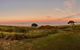 Blue Horizon - thumb 1