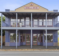 Blue Rosella On Piper - Sydney Tourism
