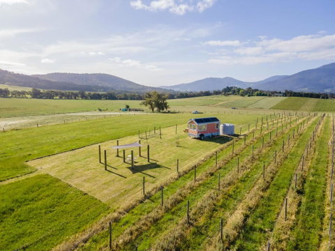Warburton Tiny House - Tiny Stays - Sydney Tourism 2