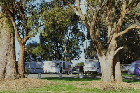 Woodmans Hill Motel - Sydney Tourism 2