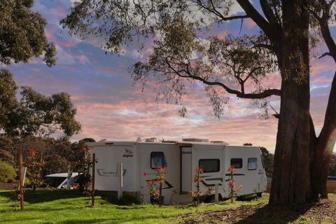 Woodmans Hill Motel - Sydney Tourism 3