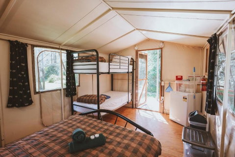BIG4 Breeze Holiday Parks - Carnarvon Gorge - Sydney Tourism 1