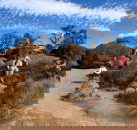 The Big Wave Rock Private Day Tour - Sydney Tourism