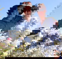 Spring Wildflower Private Day Tours - Sydney Tourism