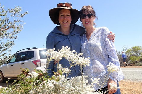 Spring Wildflower (Private) Day Tours - Sydney Tourism 0