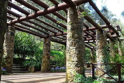 Spring Wildflower (Private) Day Tours - Sydney Tourism 2