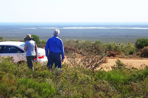 Spring Wildflower (Private) Day Tours - Sydney Tourism 3