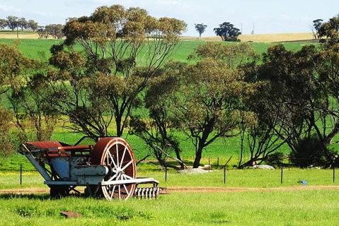 Spring Wildflower (Private) Day Tours - Sydney Tourism 4