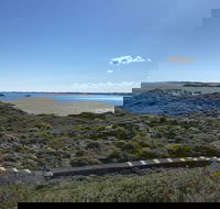 Penguin Island And Fremantle - Canoe Chocolate  Coffee - Sydney Tourism