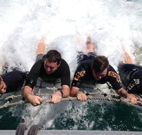 Cruise in Moreton Bay Marine Park and Moreton Island - Sydney Tourism