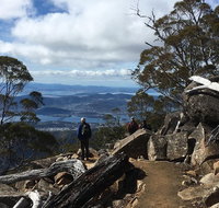 kunanyi / Mt Wellington Explorer Bus - 2 Hour Return Tour - Sydney Tourism