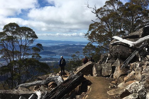 Kunanyi / Mt Wellington Explorer Bus - 2 Hour Return Tour - Sydney Tourism 0